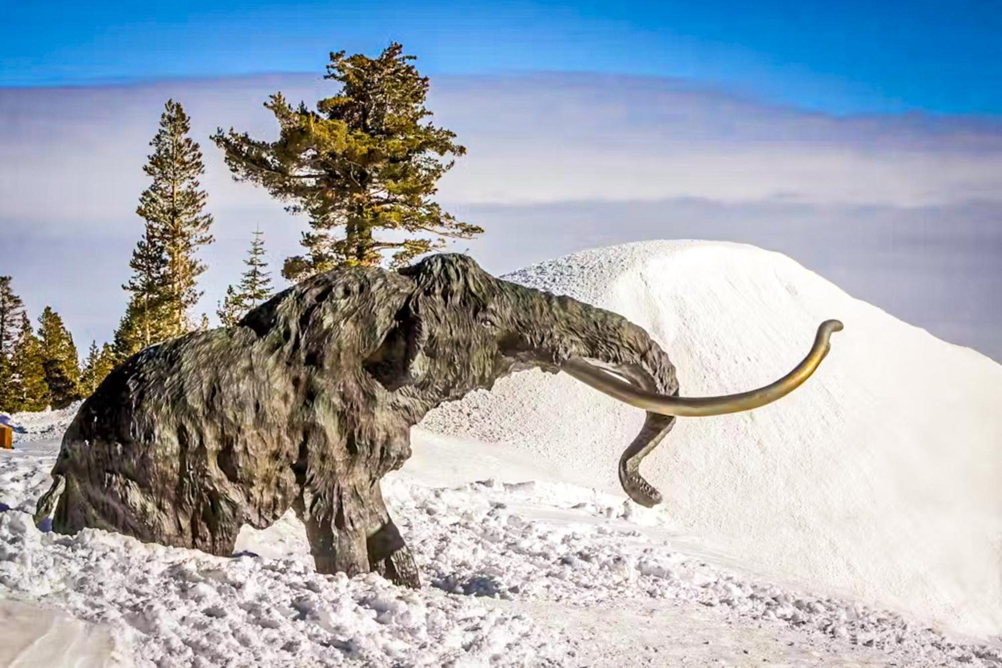 Discovery 4 119 Mammoth Lakes Exteriör bild